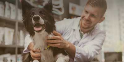 Veterinary practice owner