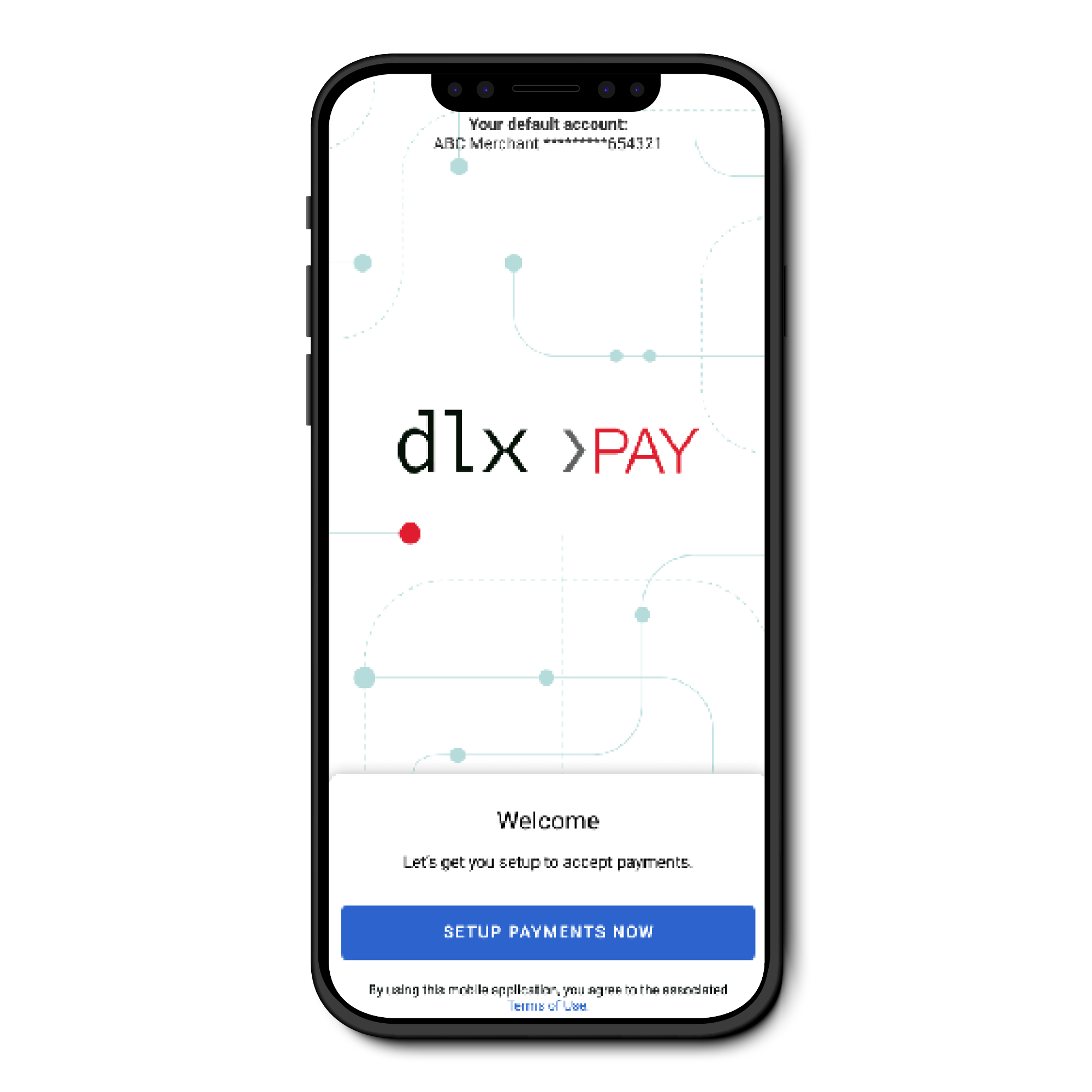 DLXPay Screen