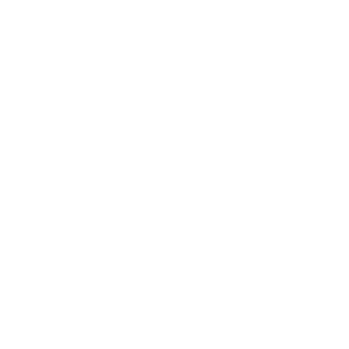 fraud-prevention-icon-white