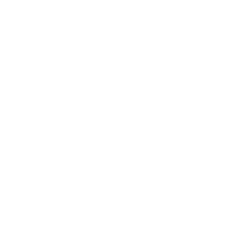 Statement Icon