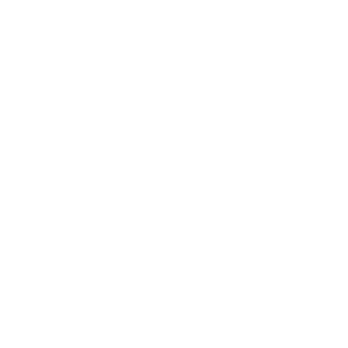 Security Icon