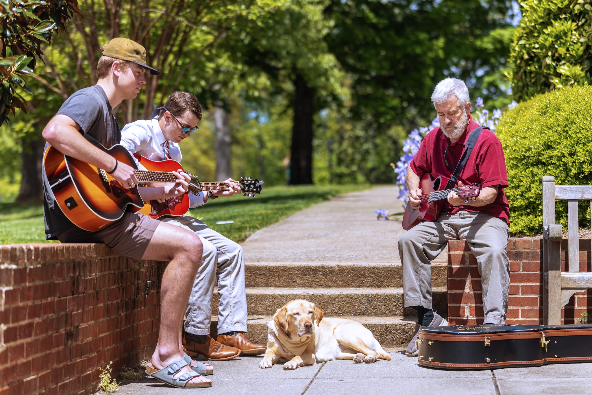 three people playing the guitar and a dog laying down