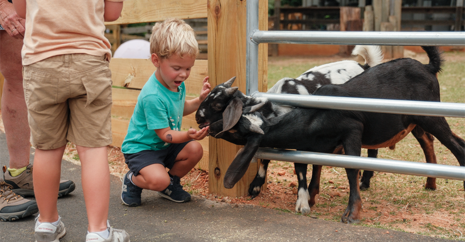 maymont animal 2