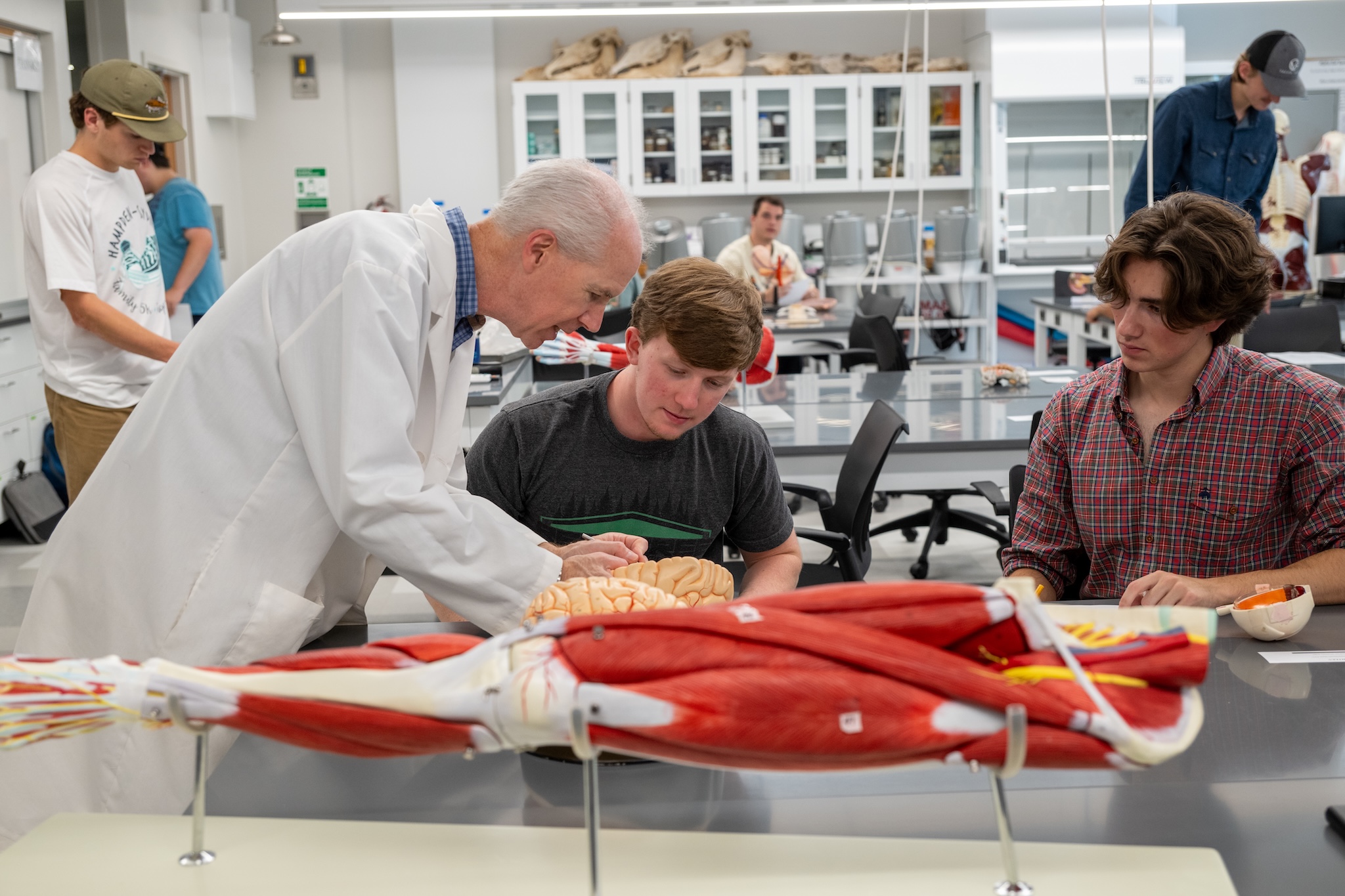 students working in a science lab