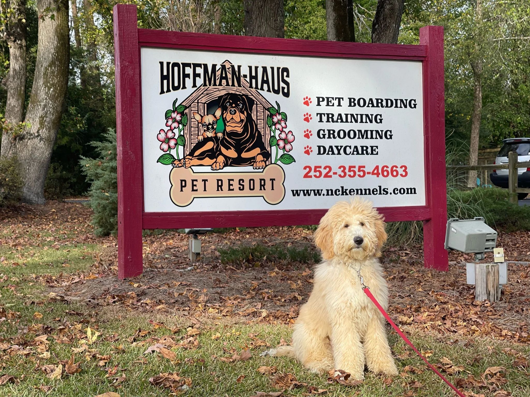 dog in front of sign