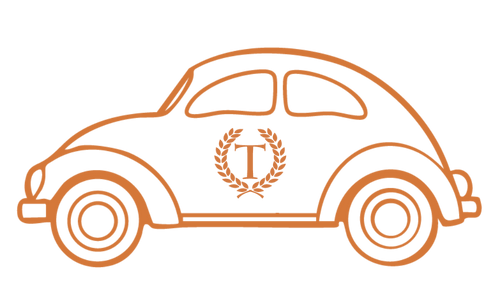 Business Beetle Icon