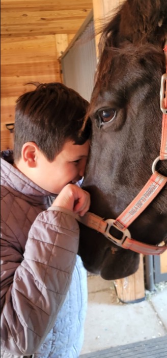 Close up photo of child and horse with heads touching